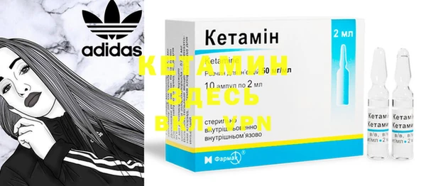 ГАЛЛЮЦИНОГЕННЫЕ ГРИБЫ Ельня