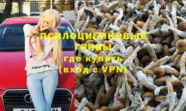 ГАЛЛЮЦИНОГЕННЫЕ ГРИБЫ Ельня