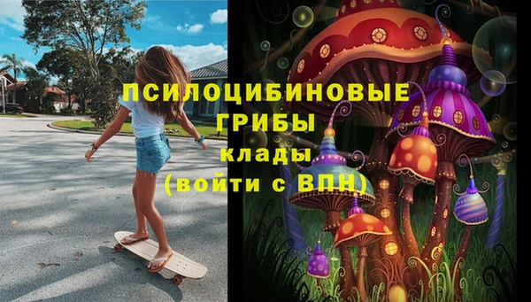 амфетамин Елизово